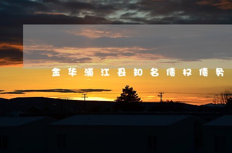 金华浦江县知名债权债务律师 金华浦江县知名债权债务律师