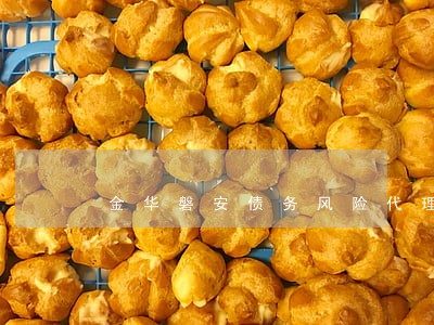 金华磐安债务风险代理律师 金华磐安债务风险代理律师