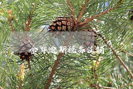 金华逾期税务注销