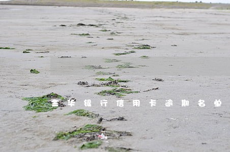 金华银行信用卡逾期名单