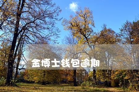 金博士钱包逾期 金博士钱包逾期