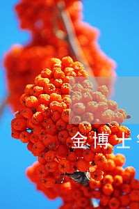 金博士钱包逾期3个月