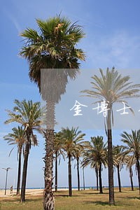 金博士钱包逾期发照片 金博士钱包逾期发照片