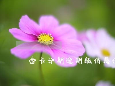金卡分期逾期短信是什么鬼