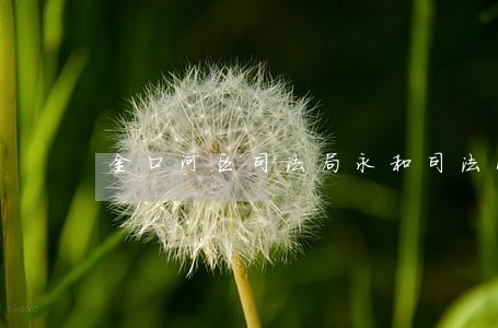 金口河区司法局永和司法所 金口河区司法局永和司法所