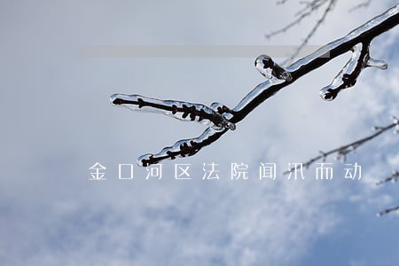 金口河区法院闻汛而动 金口河区法院闻汛而动