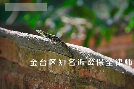金台区知名诉讼保全律师 金台区知名诉讼保全律师
