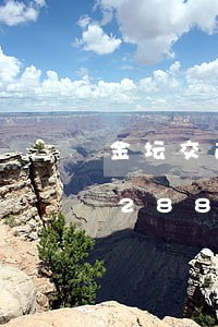 金坛交通违法处理地点/2023020428883