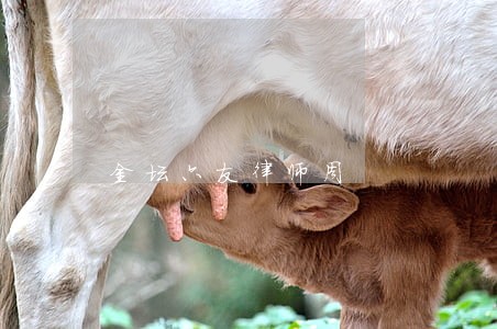 金坛六友律师周