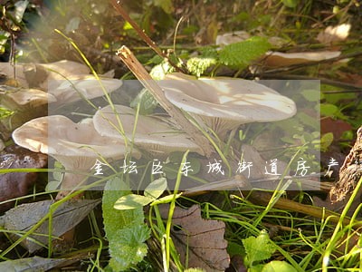 金坛区东城街道房产律师咨询 金坛区东城街道房产律师咨询