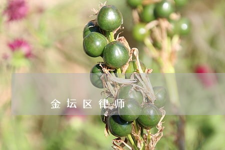 金坛区律师 金坛区律师
