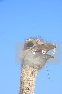 金坛房地产律师事务所 金坛房地产律师事务所