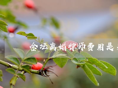 金坛离婚律师费用是多少 金坛离婚律师费用是多少