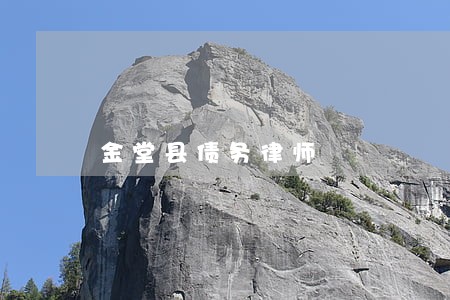 金堂县债务律师 金堂县债务律师