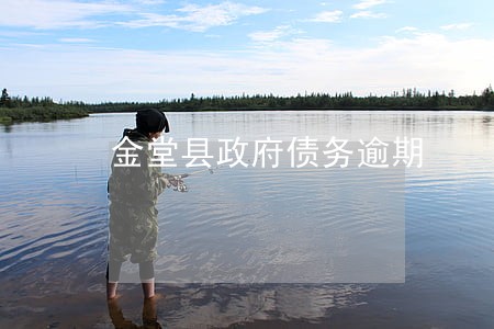 金堂县政府债务逾期