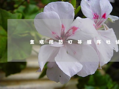 金塔规范打井程序杜绝违法取水 金塔规范打井程序杜绝违法取水