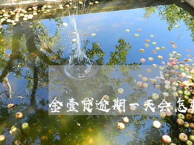 金壹贷逾期一天会怎样 金壹贷逾期一天会怎样