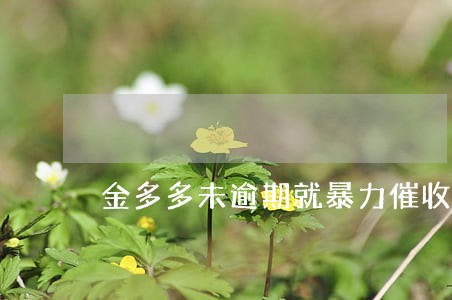 金多多未逾期就暴力催收 金多多未逾期就暴力催收