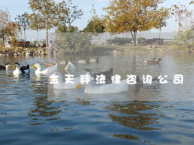 金天秤法律咨询公司 金天秤法律咨询公司