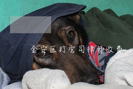 金安区打官司律师收费 金安区打官司律师收费