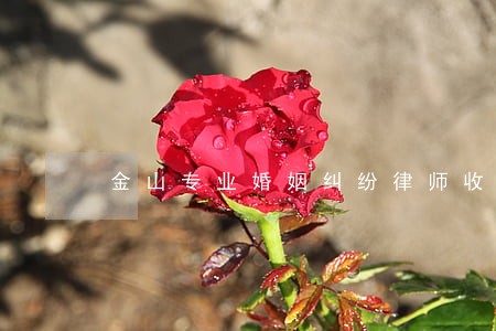 金山专业婚姻纠纷律师收费标准 金山专业婚姻纠纷律师收费标准