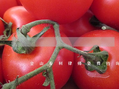 金山专利律师免费咨询 金山专利律师免费咨询