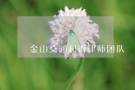 金山交通起诉律师团队 金山交通起诉律师团队