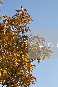 金山借款律师 金山借款律师