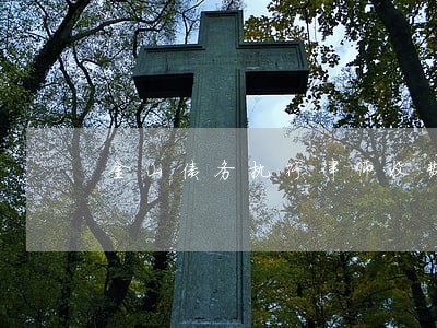 金山债务执行律师收费 金山债务执行律师收费