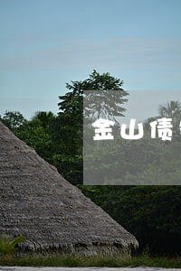 金山债务执行律师费用 金山债务执行律师费用