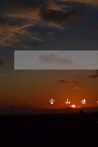 金山债务诉讼纠纷律师费用 金山债务诉讼纠纷律师费用