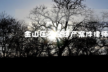 金山区不良资产案件律师网站 金山区不良资产案件律师网站