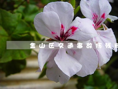 金山区交通事故伤残赔偿律师 金山区交通事故伤残赔偿律师