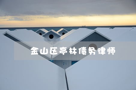 金山区亭林债务律师 金山区亭林债务律师