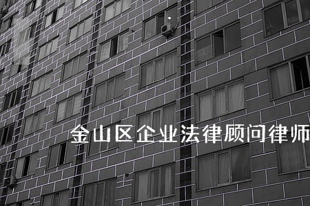 金山区企业法律顾问律师服务 金山区企业法律顾问律师服务
