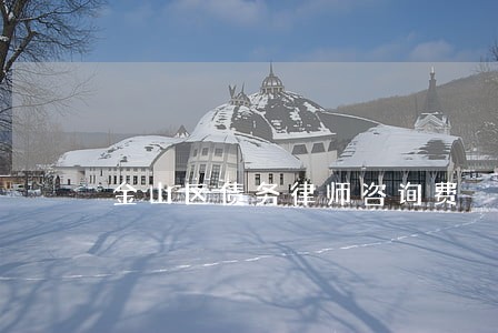 金山区债务律师咨询费 金山区债务律师咨询费