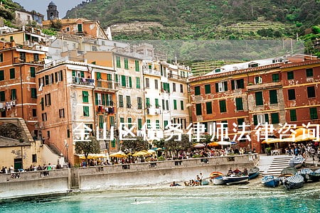 金山区债务律师法律咨询 金山区债务律师法律咨询