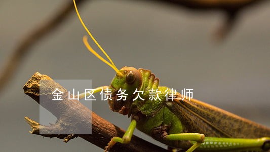 金山区债务欠款律师 金山区债务欠款律师