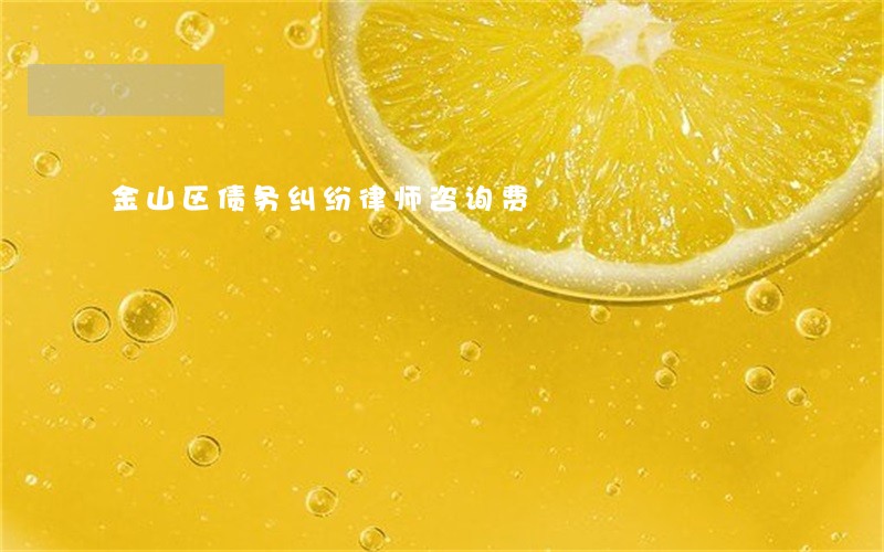 金山区债务纠纷律师咨询费 金山区债务纠纷律师咨询费