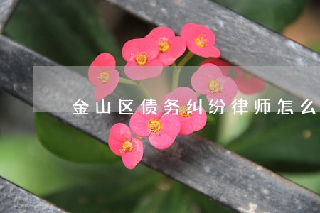 金山区债务纠纷律师怎么收费 金山区债务纠纷律师怎么收费