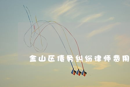 金山区债务纠纷律师费用多少 金山区债务纠纷律师费用多少