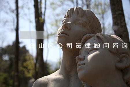 金山区公司法律顾问咨询电话 金山区公司法律顾问咨询电话