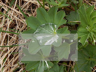 金山区公司法律顾问服务 金山区公司法律顾问服务