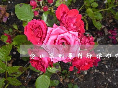 金山区刑事纠纷律师咨询 金山区刑事纠纷律师咨询