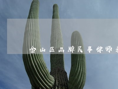 金山区品牌民事律师来电咨询