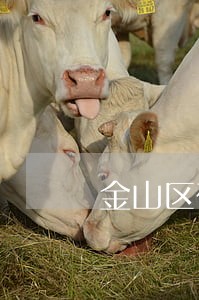 金山区在线合同纠纷律师要多钱 金山区在线合同纠纷律师要多钱