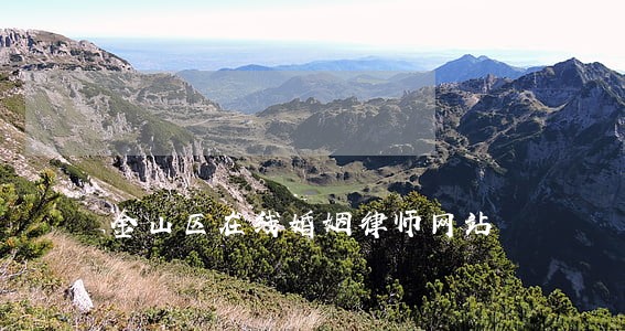 金山区在线婚姻律师网站 金山区在线婚姻律师网站