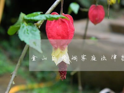 金山区婚姻家庭法律咨询热线 金山区婚姻家庭法律咨询热线