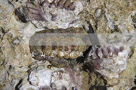 金山区工程款纠纷律师 金山区工程款纠纷律师