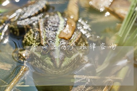 金山区房产法律咨询